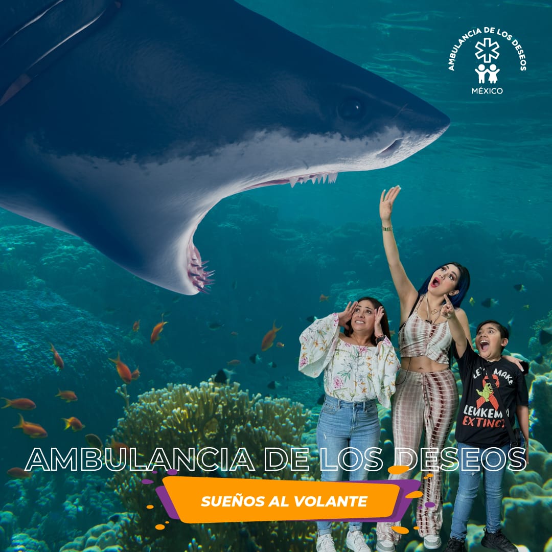 Daniela "La Bebesita" y un momento que cambió la vida de Ángel e Íker — fotografía 4