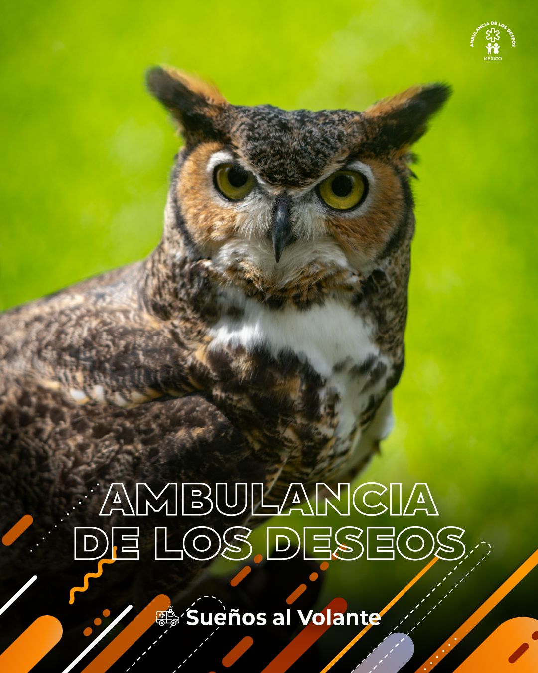 Fundación Ambulancia de los Deseos llega a Puebla — fotografía 4