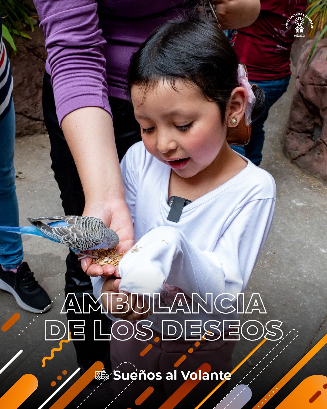 Leyre vivió un día inolvidable en Acuario Michin — fotografía 4