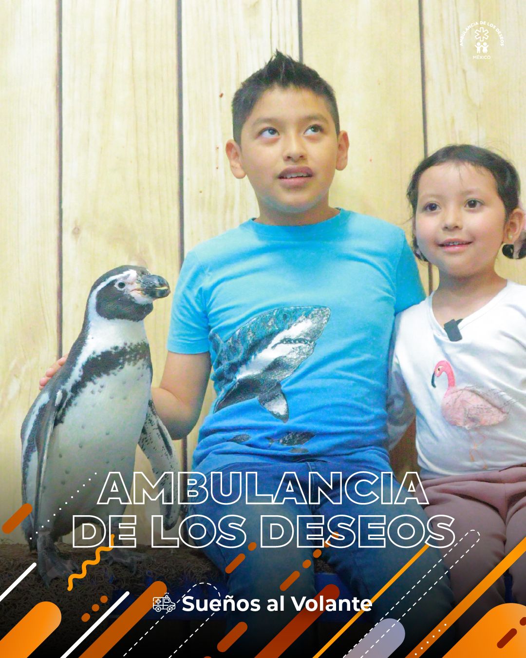 Leyre vivió un día inolvidable en Acuario Michin — fotografía 5
