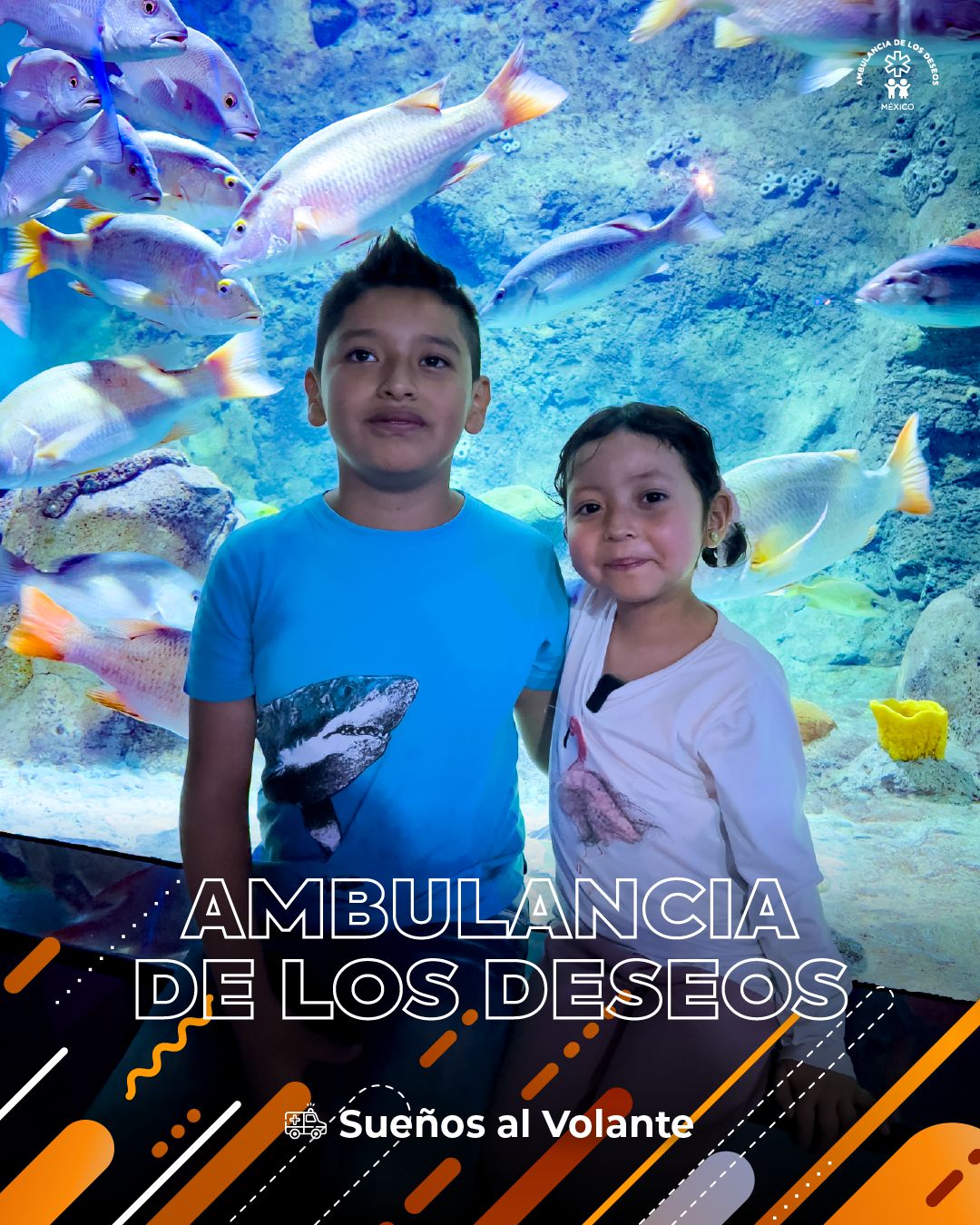 Leyre vivió un día inolvidable en Acuario Michin — fotografía 6